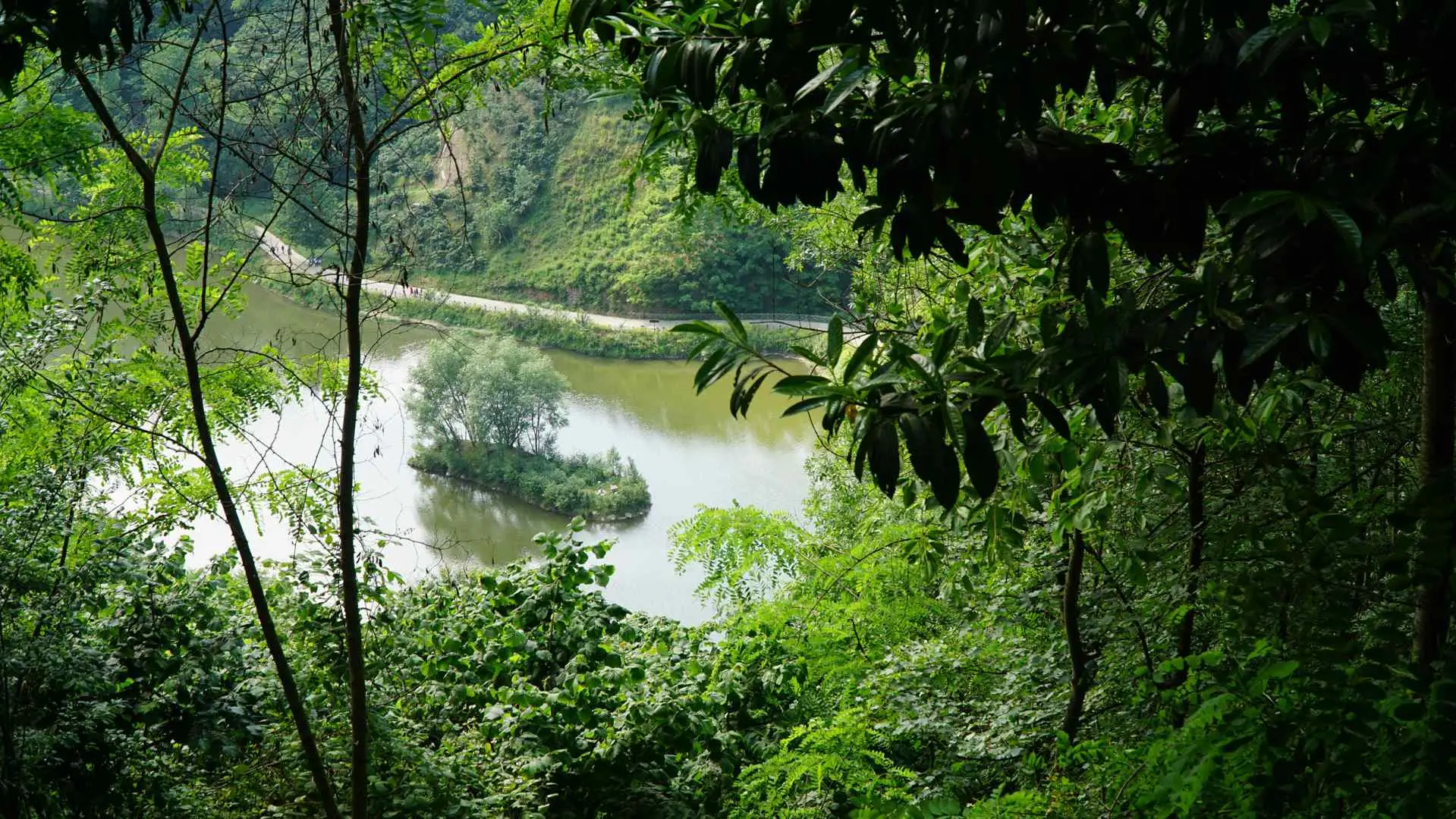 Sera golu (6)